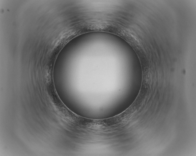 X0000088610743200706081434