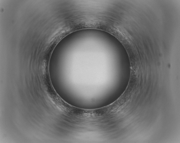 X0000088610744200706081434