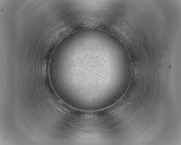 X0000088610745200706081434