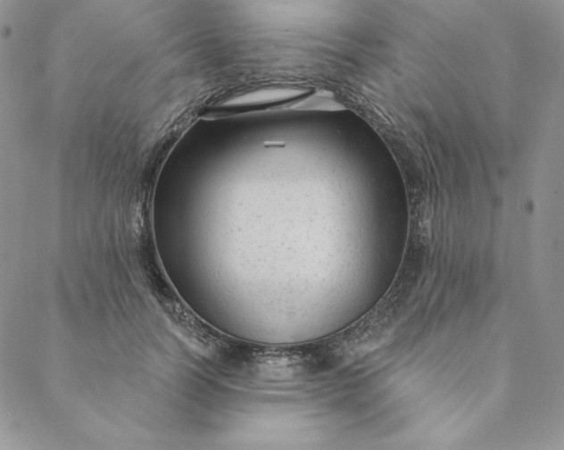 X0000088610746200706081434