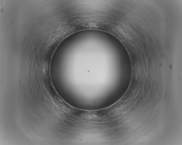 X0000088610747200706081434