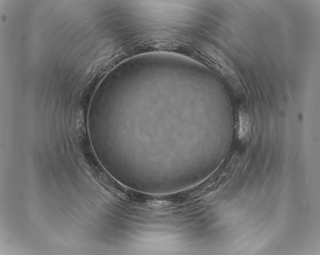 X0000088610748200706081434