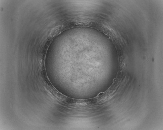 X0000088610749200706081434