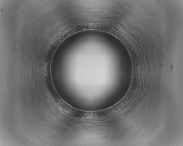 X0000088610750200706081434