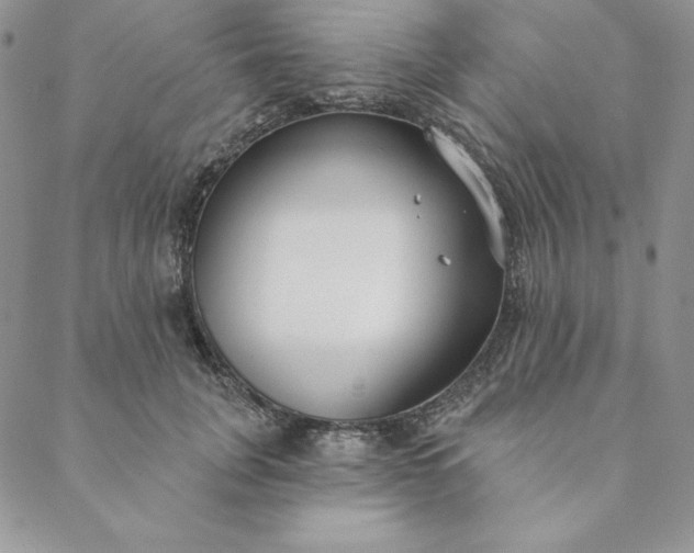 X0000088610751200706081434