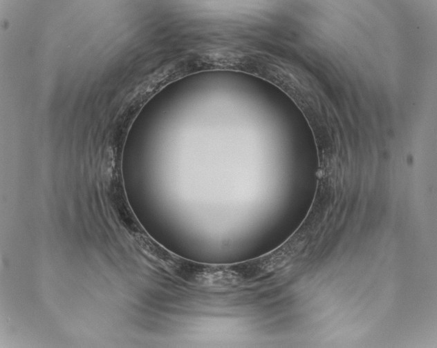 X0000088610752200706081434