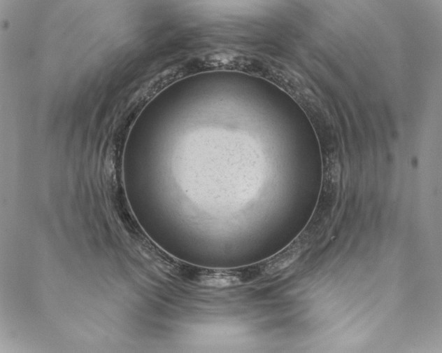 X0000088610754200706081434