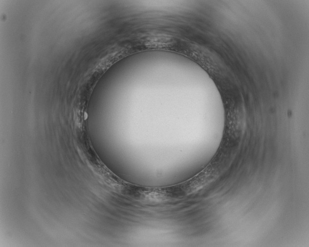 X0000088610755200706081434