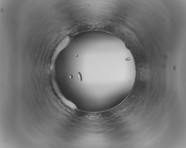 X0000088610756200706081434