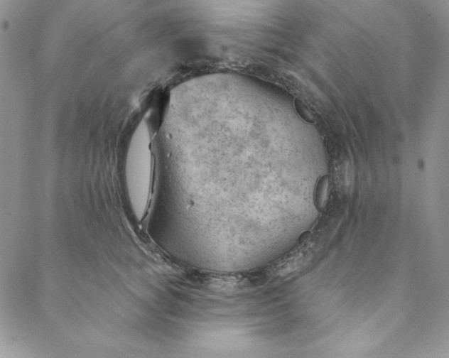 X0000088610757200706081434