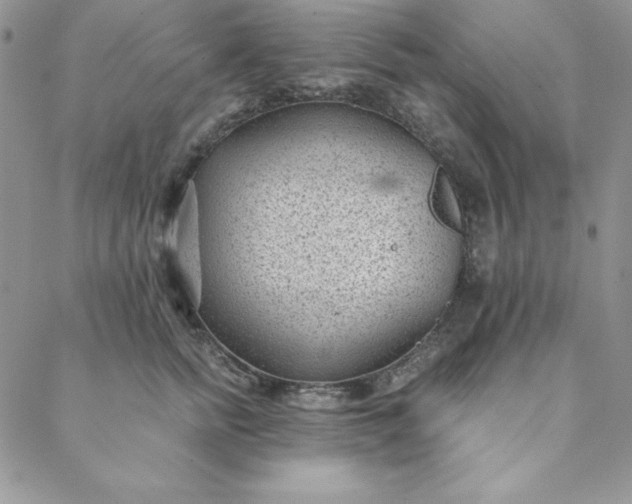 X0000088610758200706081434