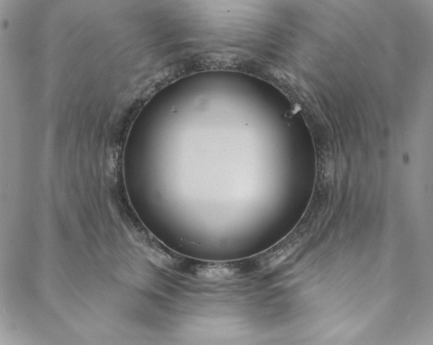 X0000088610759200706081434