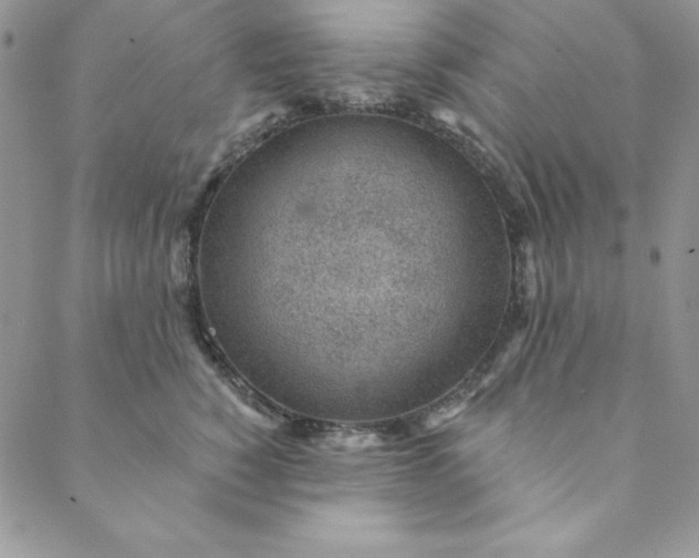 X0000088610760200706081434