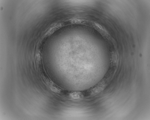 X0000088610761200706081434