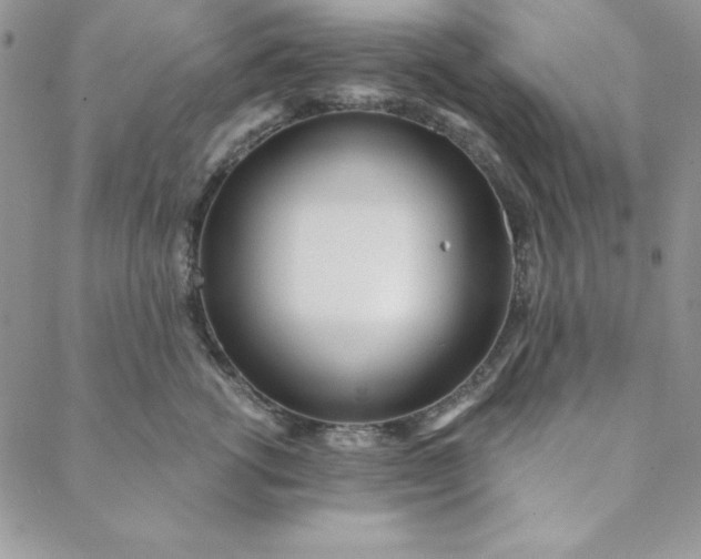 X0000088610762200706081434