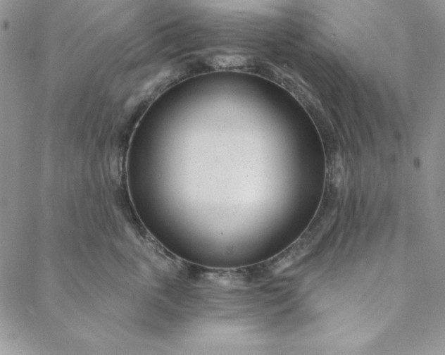 X0000088610763200706081434