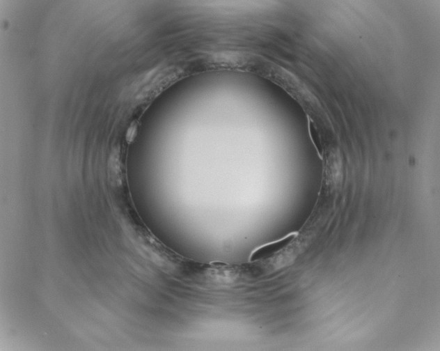 X0000088610764200706081434