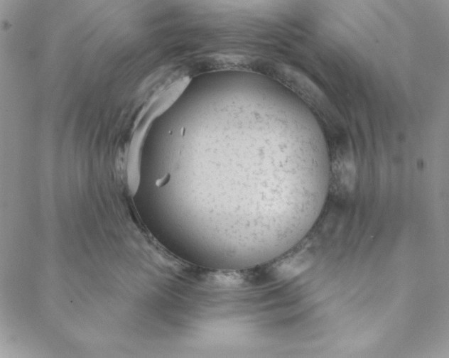 X0000088610765200706081434