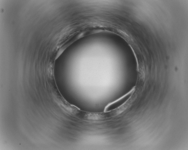 X0000088610766200706081434