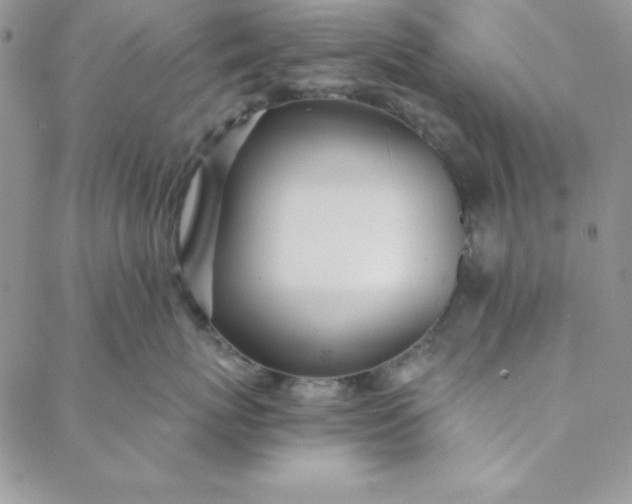 X0000088610767200706081434