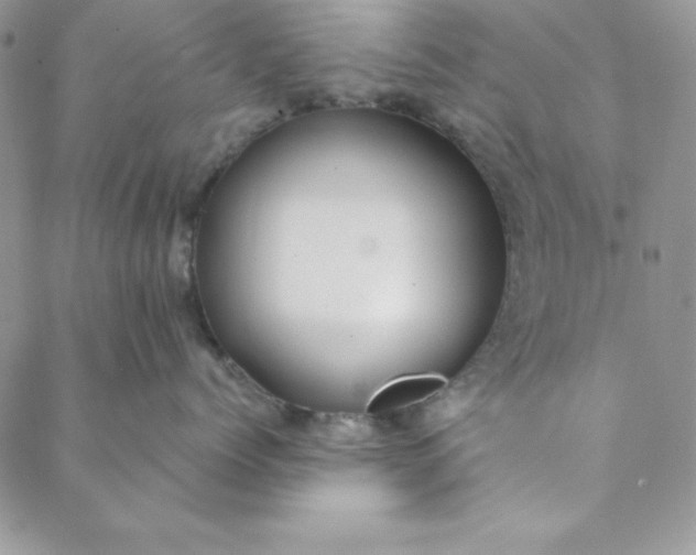 X0000088610768200706081434