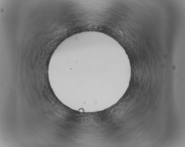 X0000088610769200706081433