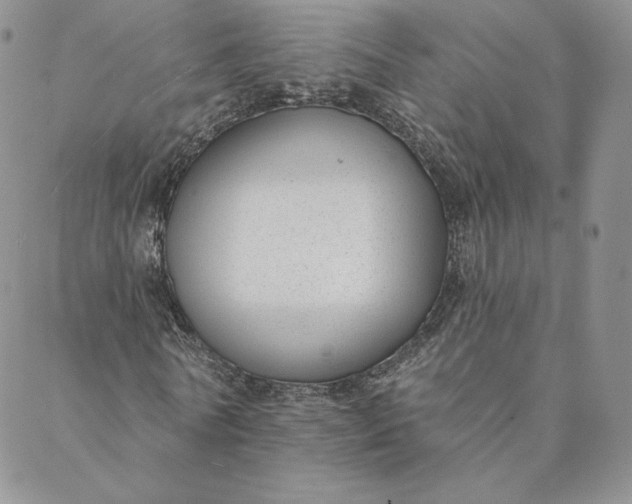 X0000088610770200706081433