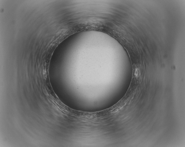 X0000088610771200706081433