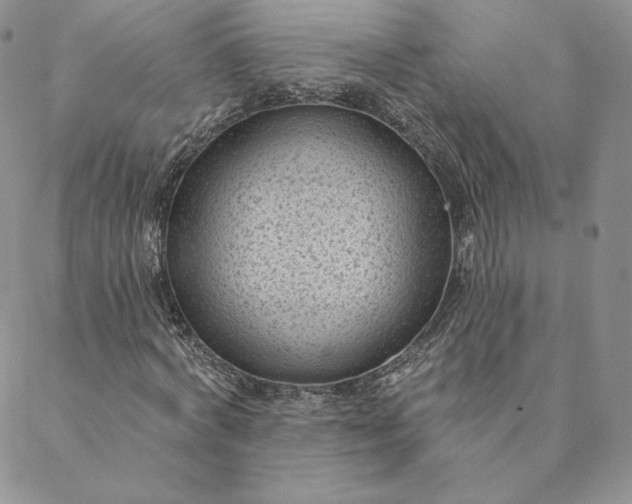 X0000088610772200706081433