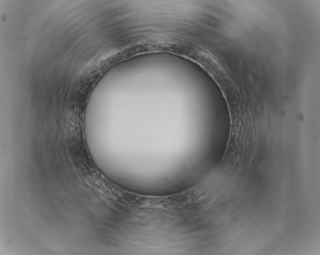 X0000088610773200706081433