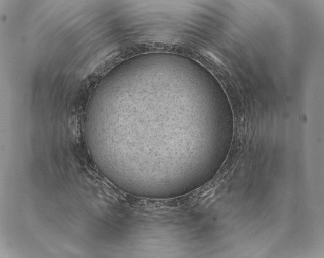 X0000088610774200706081433