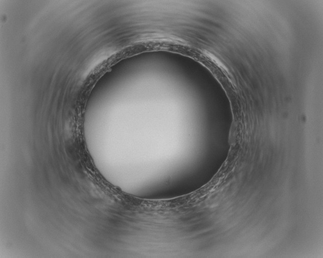 X0000088610775200706081433