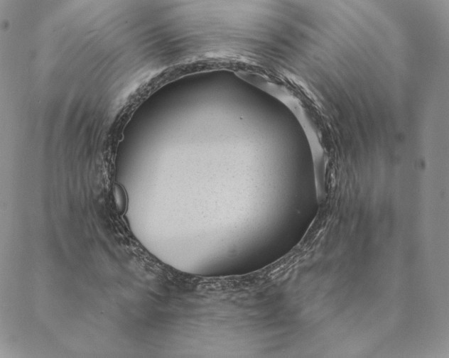 X0000088610776200706081433