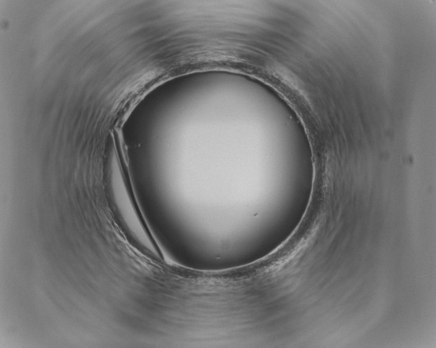 X0000088610777200706081433