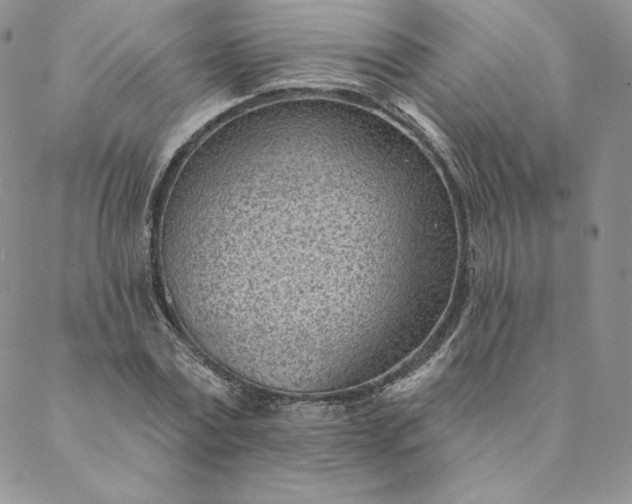 X0000088610779200706081433