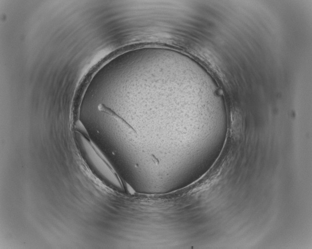 X0000088610780200706081433