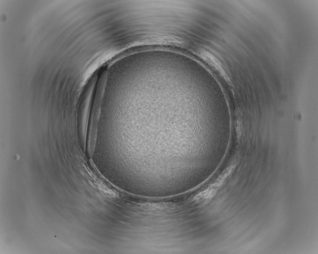 X0000088610781200706081433