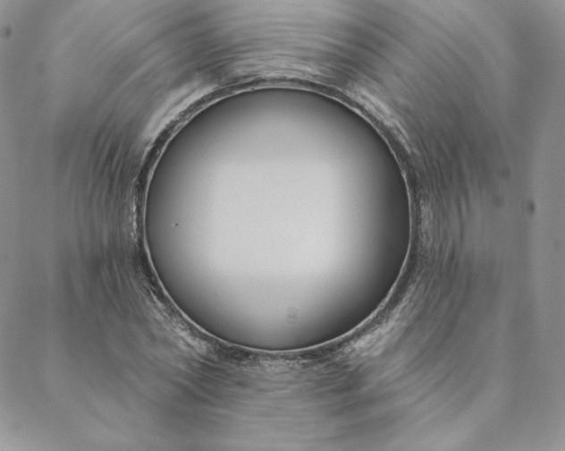 X0000088610782200706081433