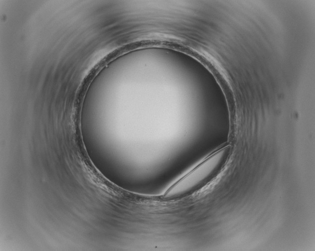 X0000088610783200706081433