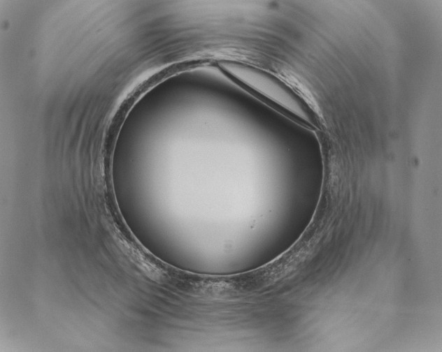 X0000088610784200706081433