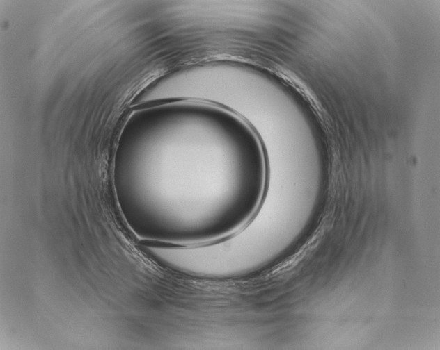 X0000088610785200706081433