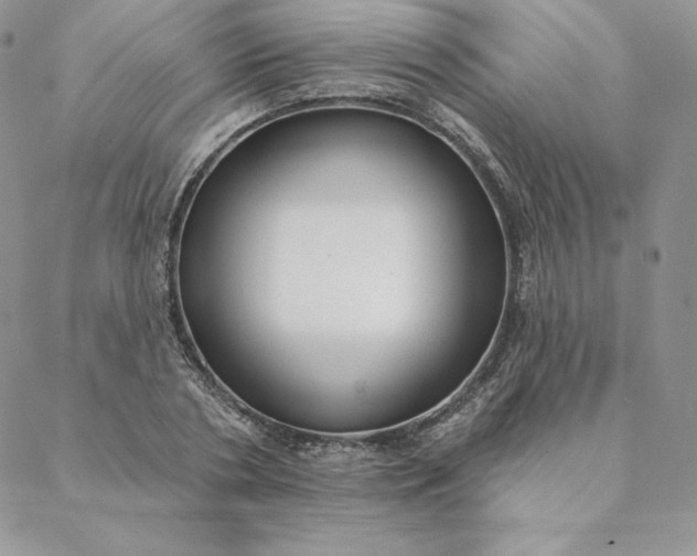 X0000088610786200706081433