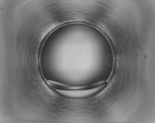 X0000088610789200706081433