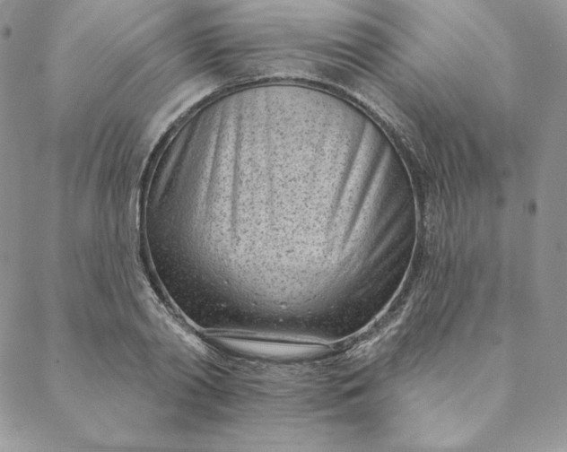 X0000088610790200706081433