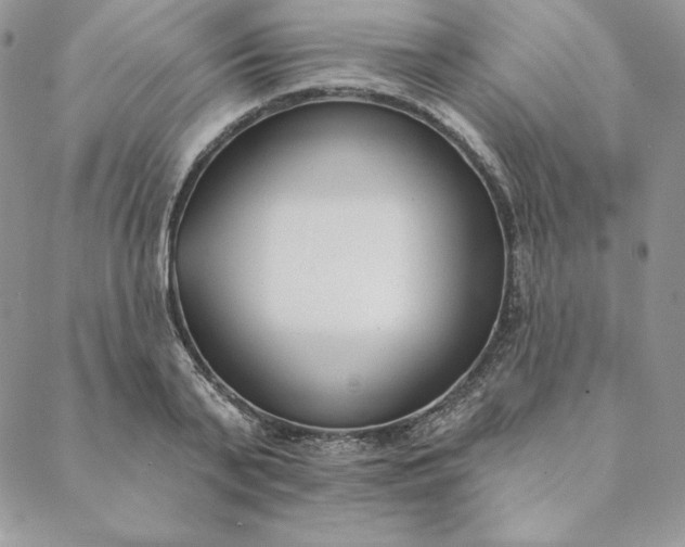 X0000088610791200706081433