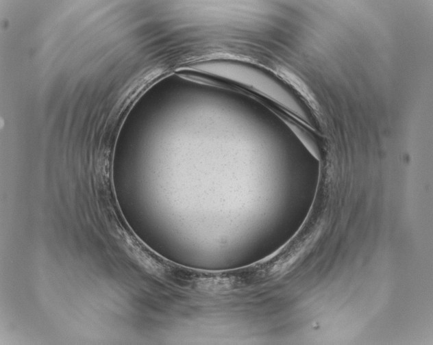 X0000088610793200706081433