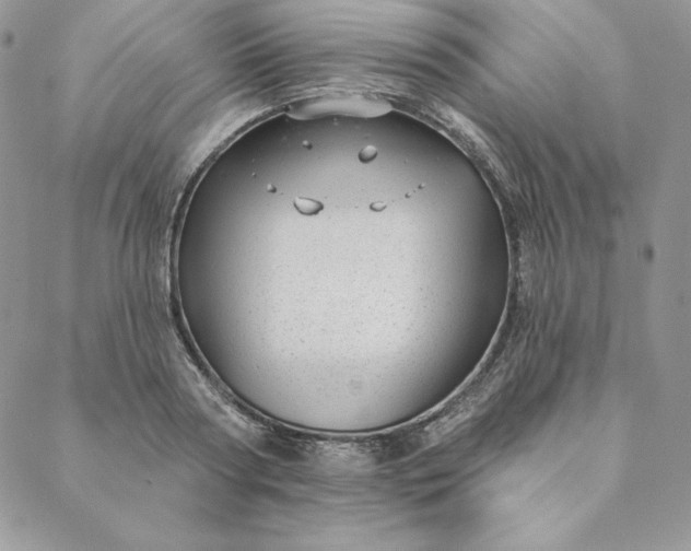 X0000088610794200706081433