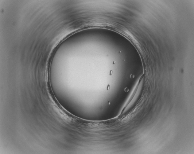 X0000088610795200706081433