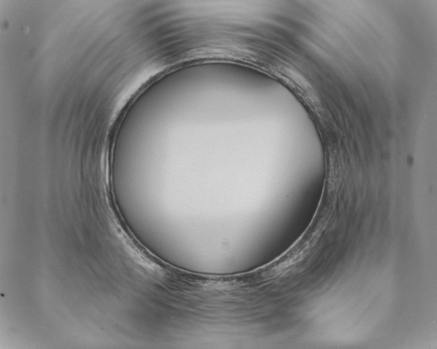 X0000088610796200706081433