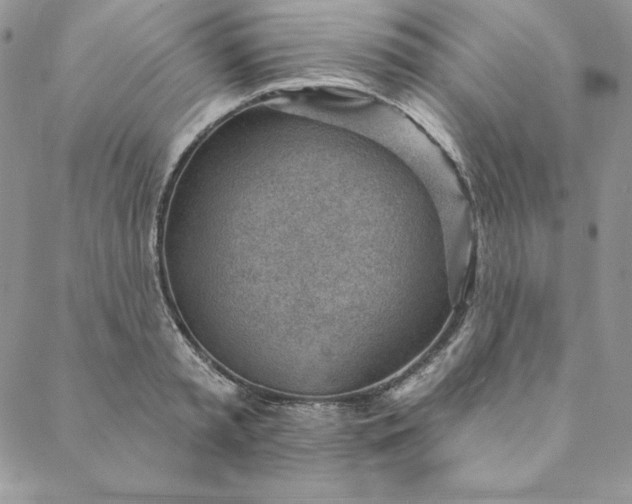 X0000088610797200706081433